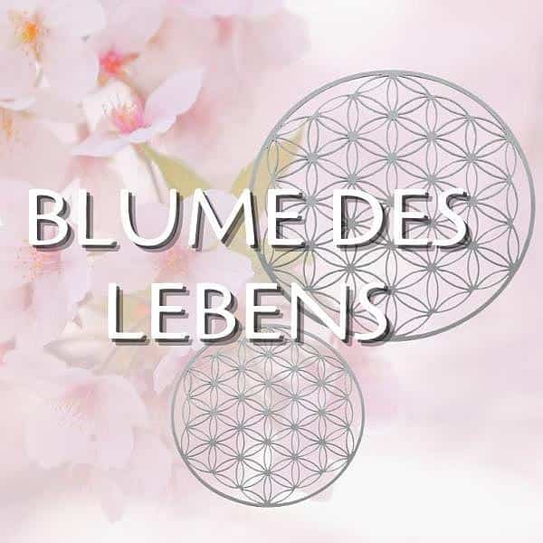 AlayaSol Yogashop Artikel mit dem Symbol Blume des Lebens