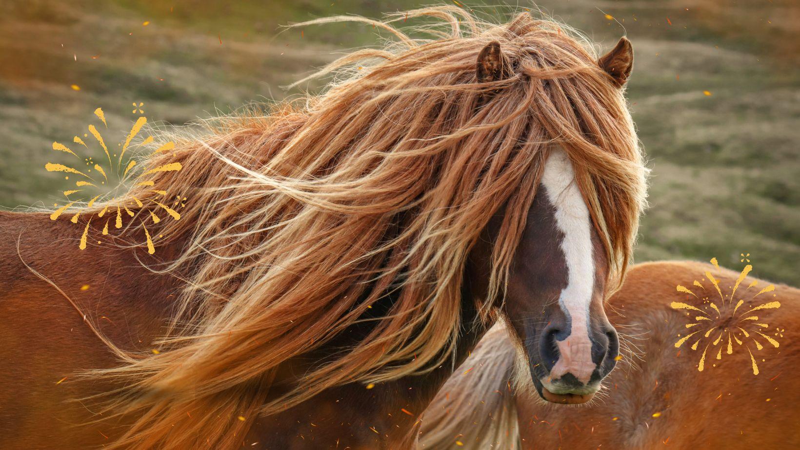 Bild für »ein Frohes Neues Jahr 2026«